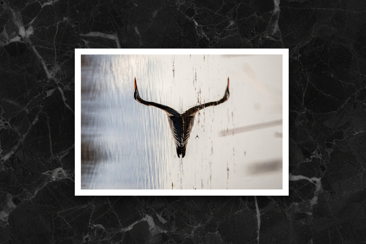 "Something Deep In The Water" Open edition print (8x10)